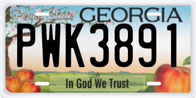 GA license plate PWK3891