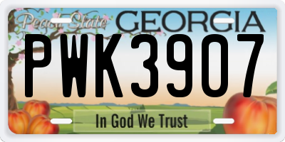 GA license plate PWK3907