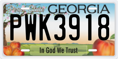 GA license plate PWK3918