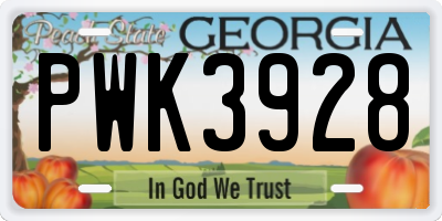 GA license plate PWK3928