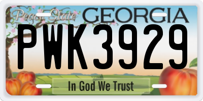 GA license plate PWK3929