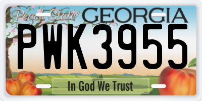 GA license plate PWK3955