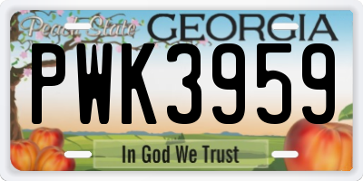 GA license plate PWK3959