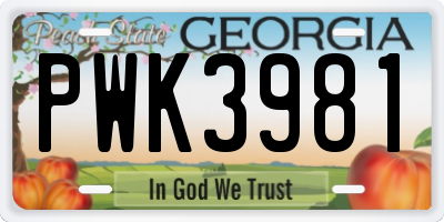 GA license plate PWK3981