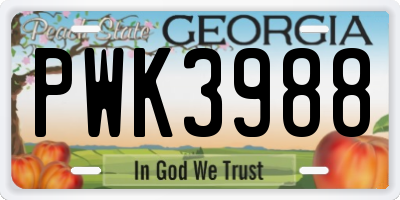 GA license plate PWK3988