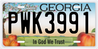 GA license plate PWK3991