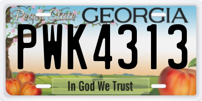 GA license plate PWK4313