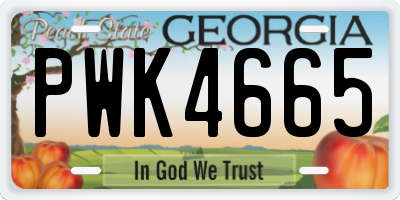 GA license plate PWK4665