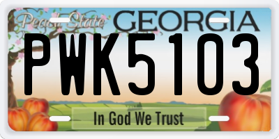 GA license plate PWK5103