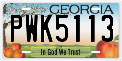 GA license plate PWK5113