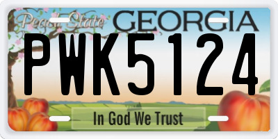 GA license plate PWK5124