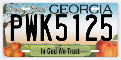 GA license plate PWK5125