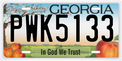 GA license plate PWK5133