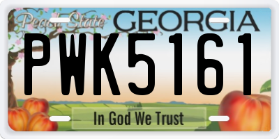 GA license plate PWK5161