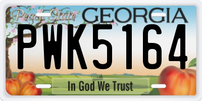 GA license plate PWK5164
