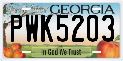 GA license plate PWK5203