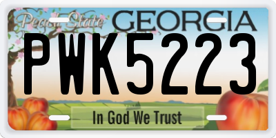 GA license plate PWK5223