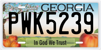 GA license plate PWK5239