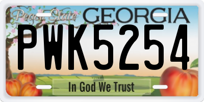 GA license plate PWK5254