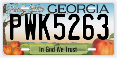 GA license plate PWK5263