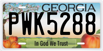 GA license plate PWK5288