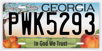 GA license plate PWK5293