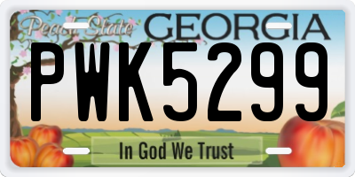 GA license plate PWK5299