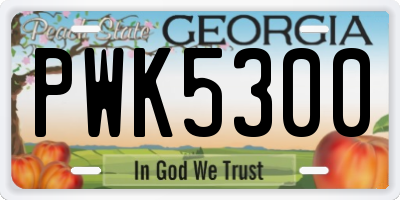 GA license plate PWK5300