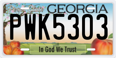 GA license plate PWK5303