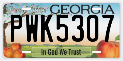 GA license plate PWK5307