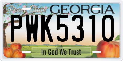 GA license plate PWK5310