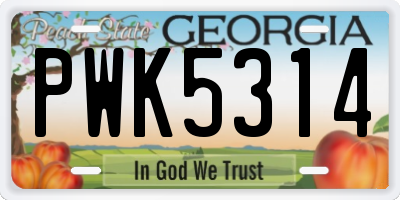 GA license plate PWK5314