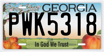 GA license plate PWK5318