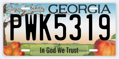 GA license plate PWK5319