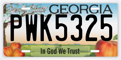 GA license plate PWK5325