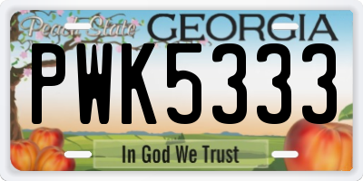GA license plate PWK5333