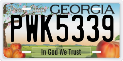GA license plate PWK5339