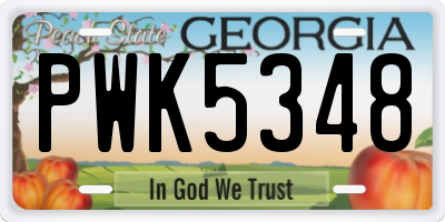 GA license plate PWK5348
