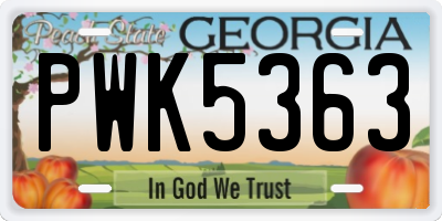 GA license plate PWK5363
