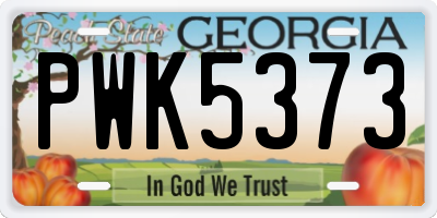 GA license plate PWK5373