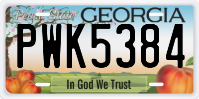 GA license plate PWK5384