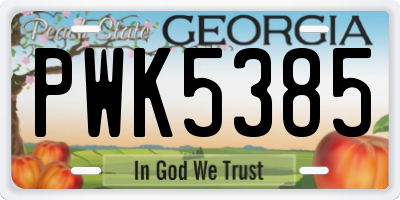 GA license plate PWK5385
