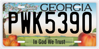 GA license plate PWK5390