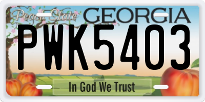 GA license plate PWK5403