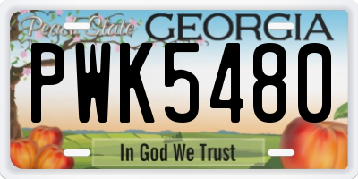 GA license plate PWK5480