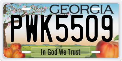 GA license plate PWK5509