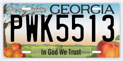 GA license plate PWK5513