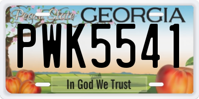 GA license plate PWK5541