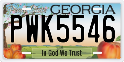 GA license plate PWK5546