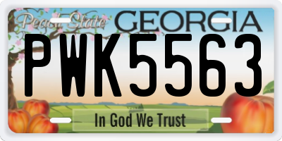 GA license plate PWK5563